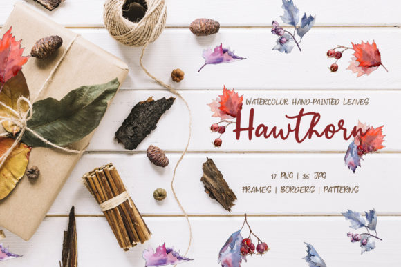 Hawthorn Watercolor: A Practical Resource for Creative Professionals