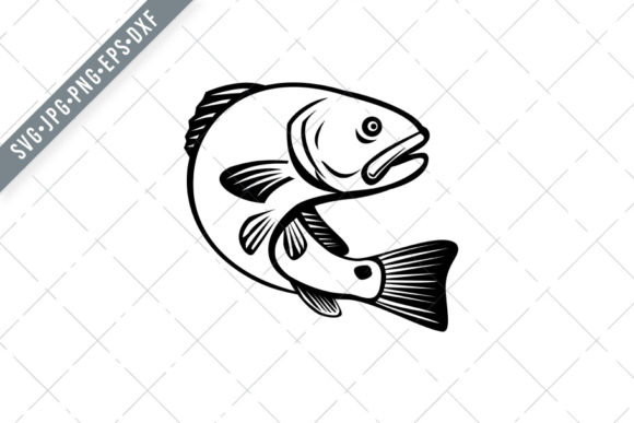 The Red Drum, Redfish, Channel Bass, Puppy Drum, and Spottail Bass: A Timeless Game Fish in Retro Black-and-White Illustration